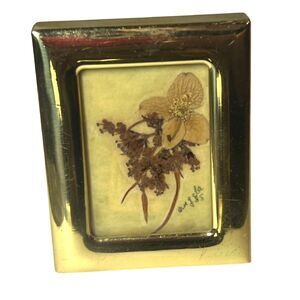 Framed Pressed Flower Art Mini Botanical Brass Frame Signed Angela ’85